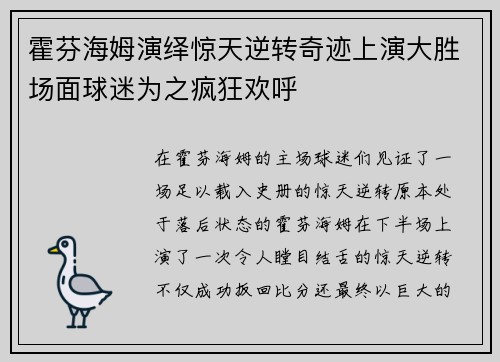 霍芬海姆演绎惊天逆转奇迹上演大胜场面球迷为之疯狂欢呼