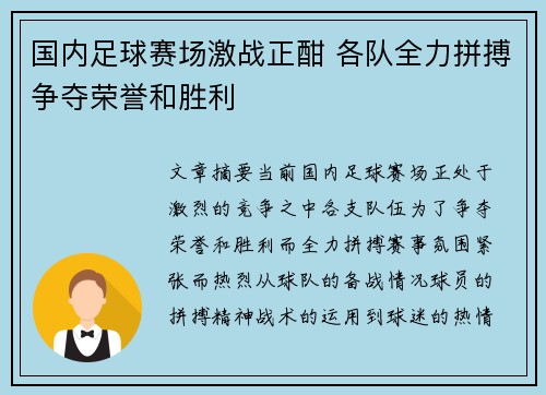 国内足球赛场激战正酣 各队全力拼搏争夺荣誉和胜利