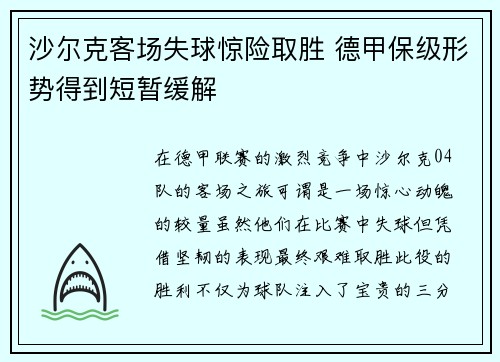 沙尔克客场失球惊险取胜 德甲保级形势得到短暂缓解