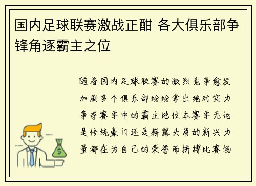 国内足球联赛激战正酣 各大俱乐部争锋角逐霸主之位