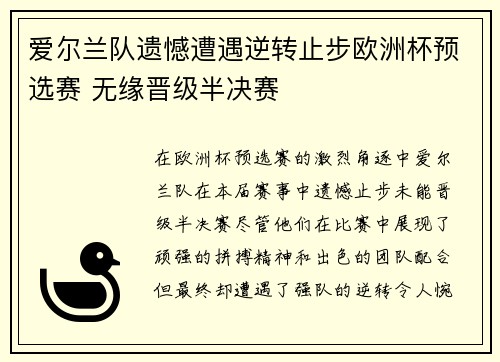 爱尔兰队遗憾遭遇逆转止步欧洲杯预选赛 无缘晋级半决赛